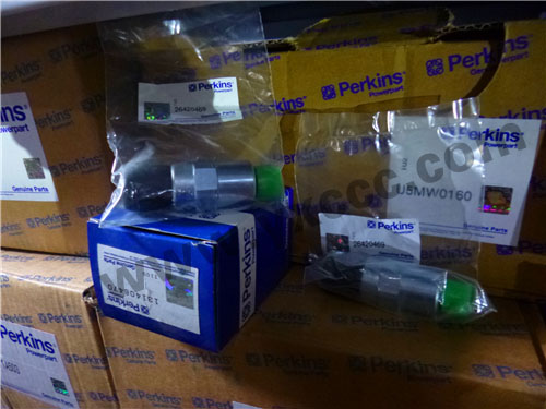 1206E柴油機(jī)T410145柴油燃油泵、溫度感應(yīng)傳感器、燃料過(guò)濾器(1206E)